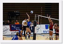 DSC_3766 * 1280 x 850 * (201KB)