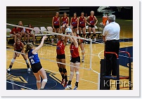 DSC_3772 * 1280 x 850 * (250KB)