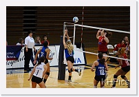 DSC_3781 * 1280 x 850 * (208KB)