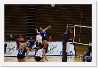 DSC_3800 * 1280 x 850 * (195KB)