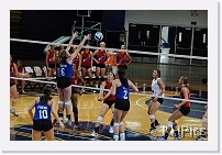 DSC_3804 * 1280 x 850 * (242KB)