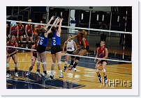 DSC_3860 * 1280 x 850 * (240KB)