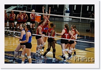 DSC_3872 * 1280 x 850 * (249KB)