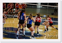 DSC_3875 * 1280 x 850 * (251KB)