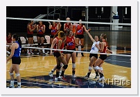 DSC_3893 * 1280 x 850 * (236KB)