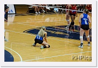 DSC_3903 * 1280 x 850 * (226KB)