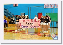 Cheerleaders @ Breast Cancer Night * (124 Slides)