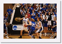 0305-201805-DSC_8668_N