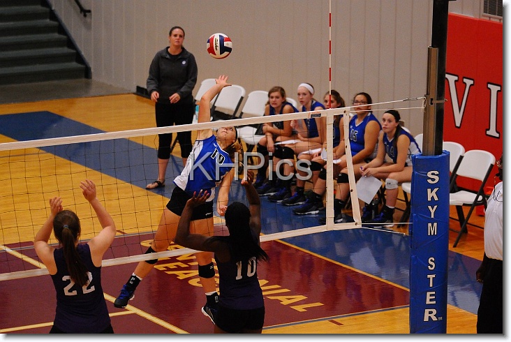 You have reached the last slide