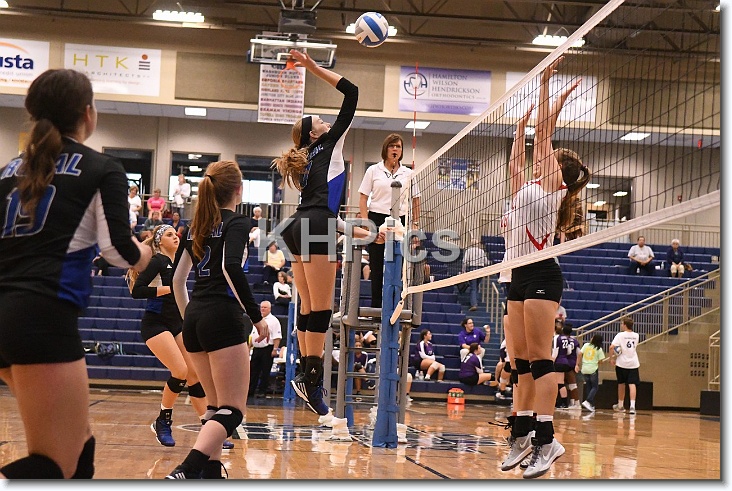 You have reached the last slide