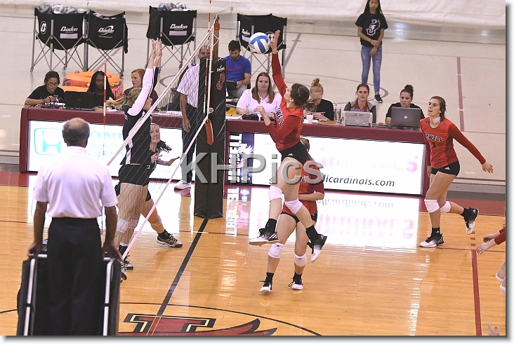 You have reached the last slide