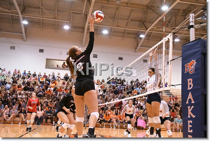 You have reached the last slide